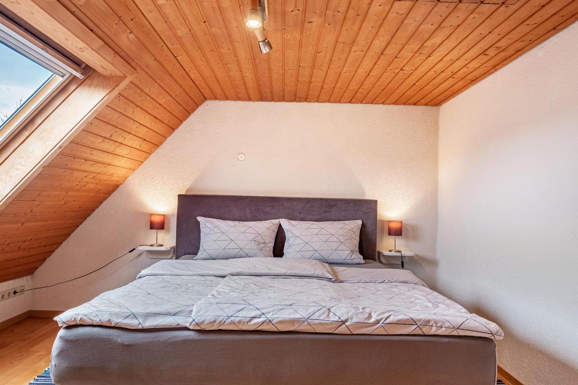 Appartement Lehen Fryburg Bryzgowijski Zewnętrze zdjęcie