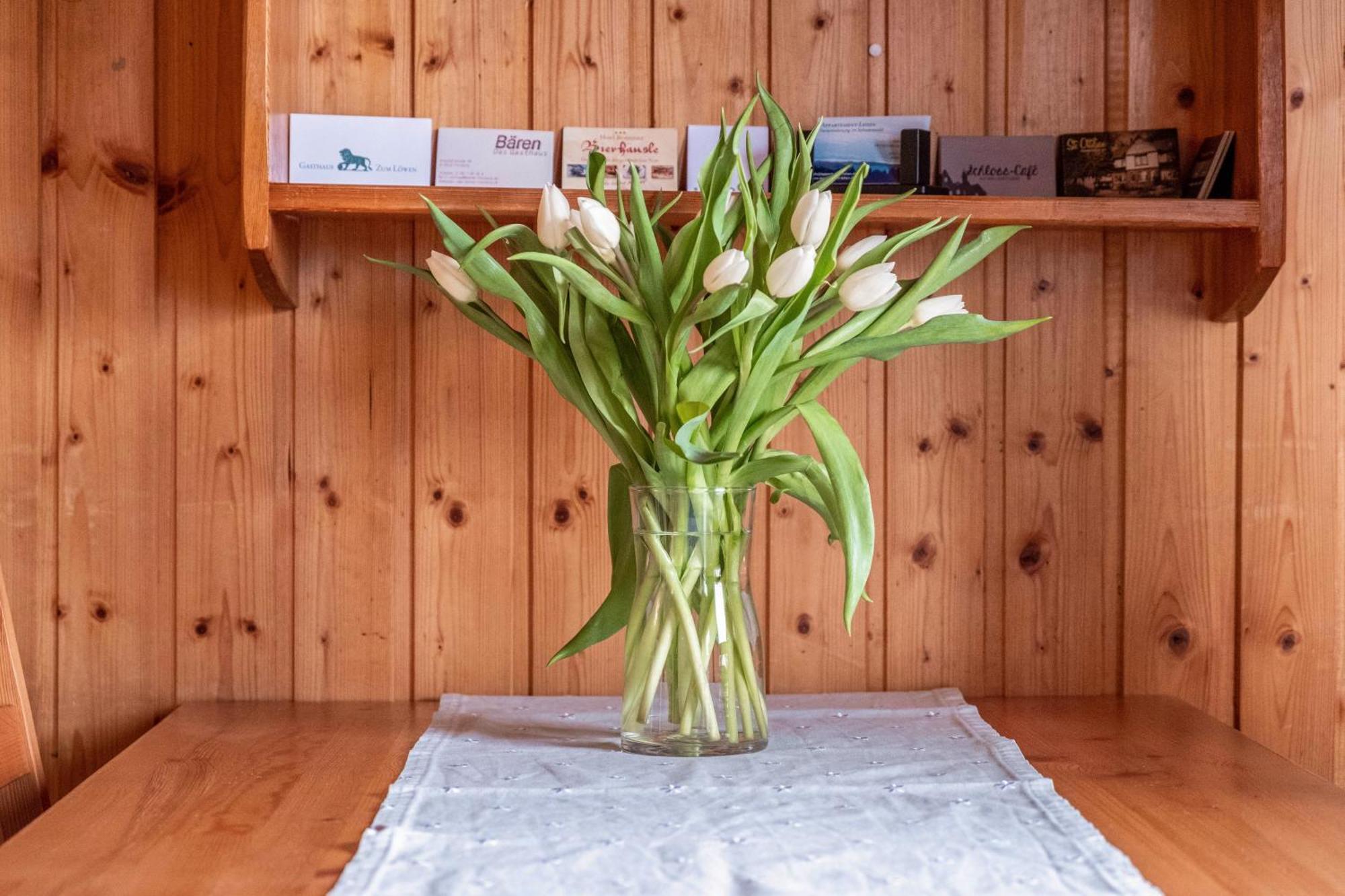 Appartement Lehen Fryburg Bryzgowijski Zewnętrze zdjęcie